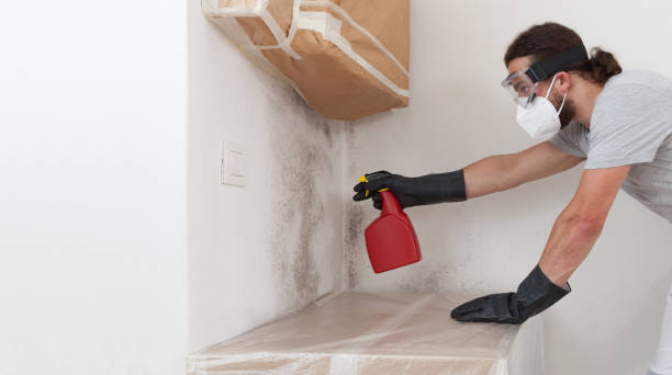 Professional Bathroom Mold Removal technician working in Manheim, PA